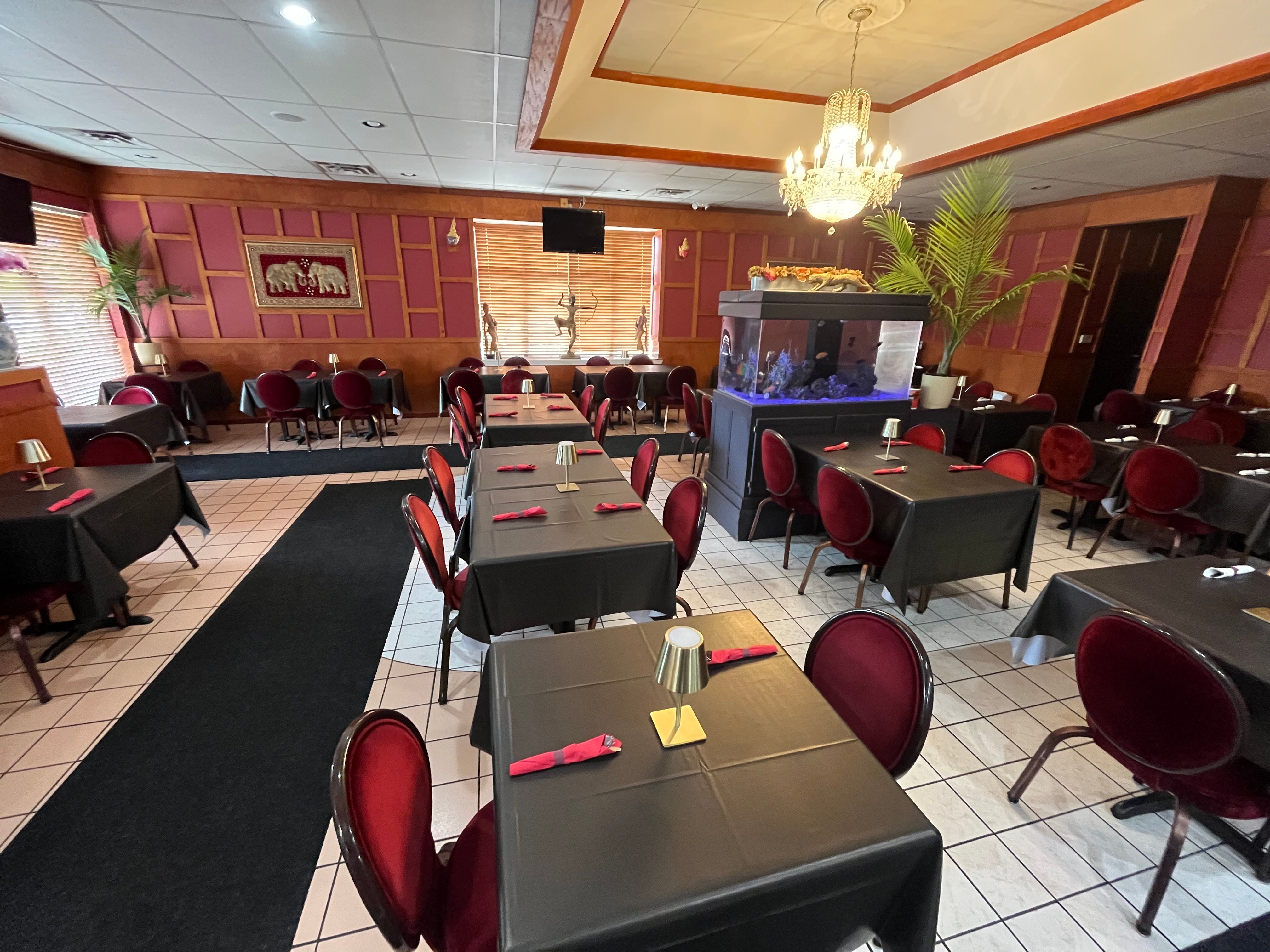 Welcome to Orchid Café — Where Fresh Flavors Bloom Every Day!